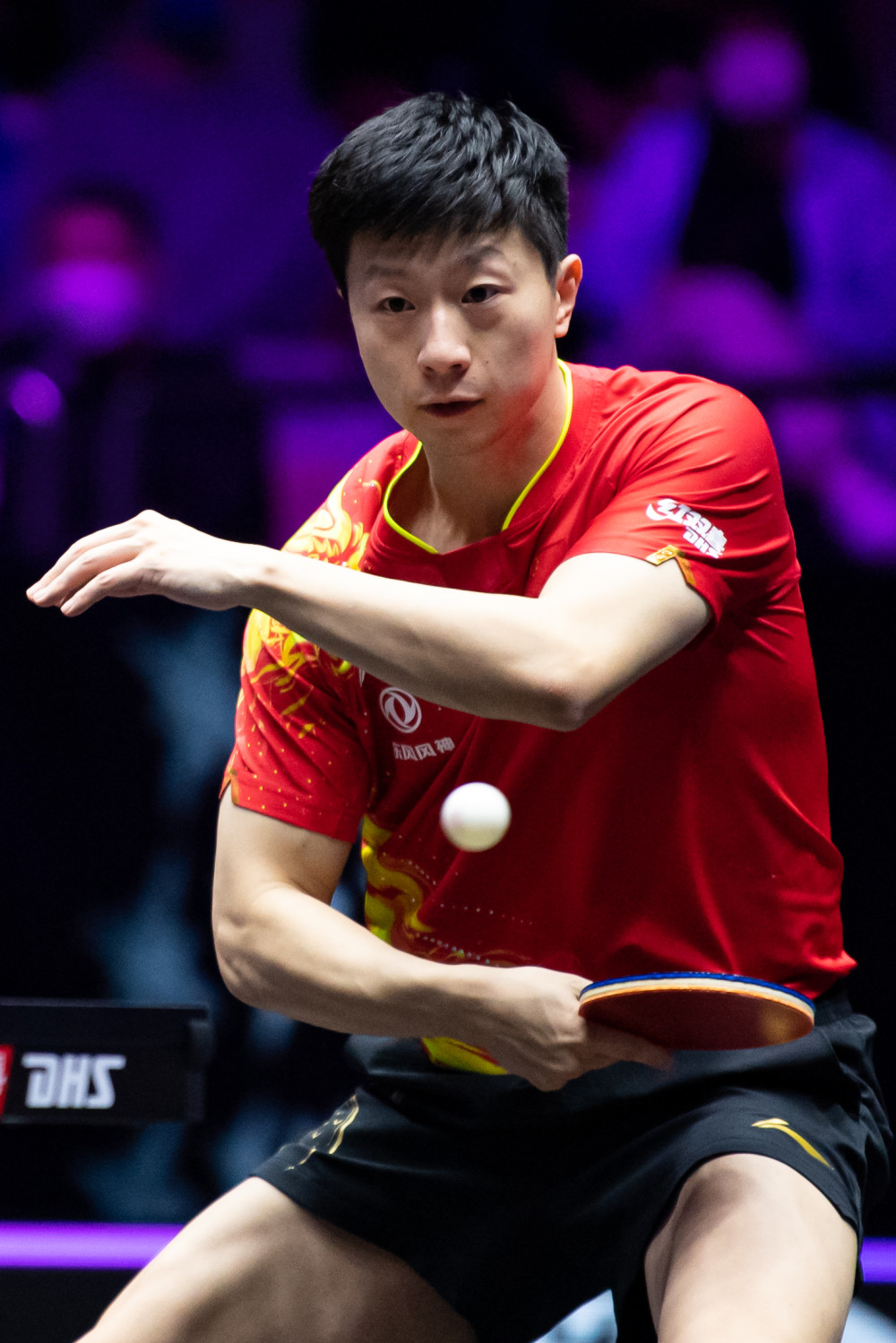 但并不盲目 但并不盲目