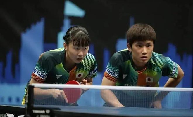 敌对情绪 敌对情绪